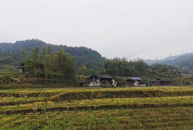 怀化雪峰山苏宝顶,云雾缭绕中的湖南第一山