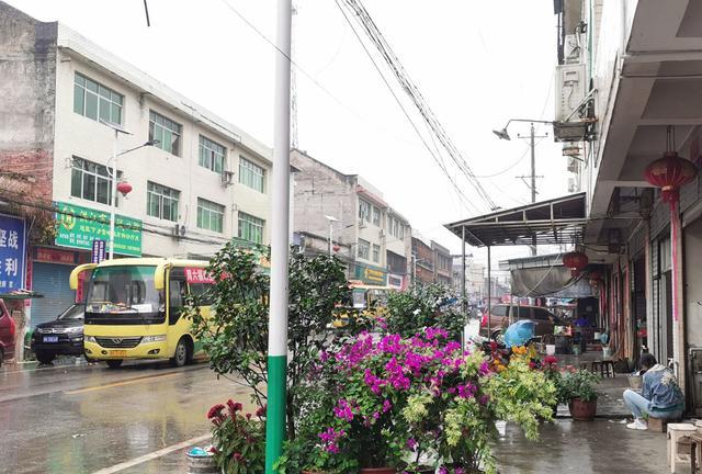 怀化雪峰山苏宝顶,云雾缭绕中的湖南第一山