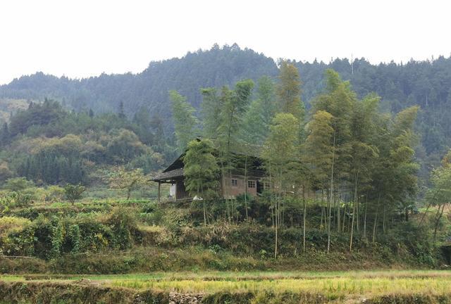 怀化雪峰山苏宝顶,云雾缭绕中的湖南第一山