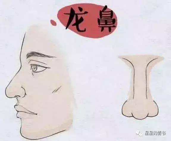 鼻子在五官中地位重要,被誉为装钱的口袋!成龙鼻相详细分析
