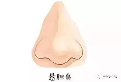 鼻子在五官中地位重要,被誉为装钱的口袋!成龙鼻相详细分析