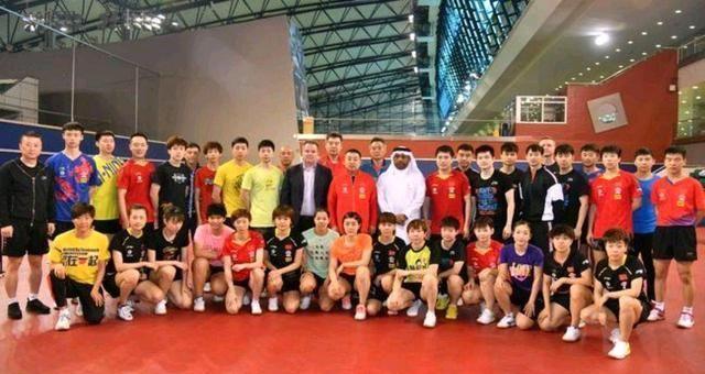 相爱相杀,丁宁与刘诗雯的爱恨情仇!