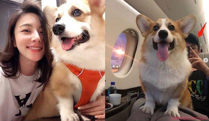 网友偶遇王思聪现身夜店放松,称其被美女环绕,一晚上消费30多万