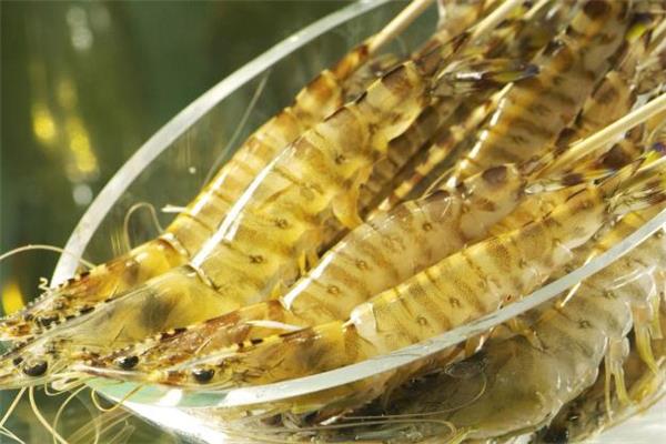 明虾怎么清洗 明虾怎么洗才干净 明虾怎么清洗 明虾怎么洗才干净