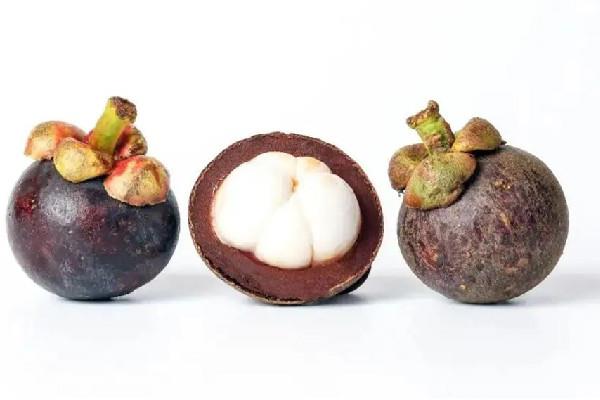 山竹用不用放在冰箱里保存 山竹要怎么存放 山竹用不用放在冰箱里保存 山竹要怎么存放