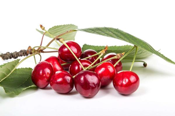 樱桃能用来泡酒吗 樱桃泡酒有什么作用 樱桃能用来泡酒吗 樱桃泡酒有什么作用