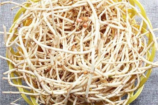 鱼腥草有消炎的作用吗 鱼腥草有什么功效 鱼腥草有消炎的作用吗 鱼腥草有什么功效