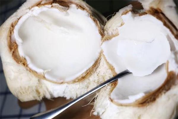 椰青什么人不能吃 椰青不能与什么一起吃 椰青什么人不能吃 椰青不能与什么一起吃