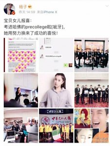 杨子女儿被哈佛录取,一家人都是大学霸