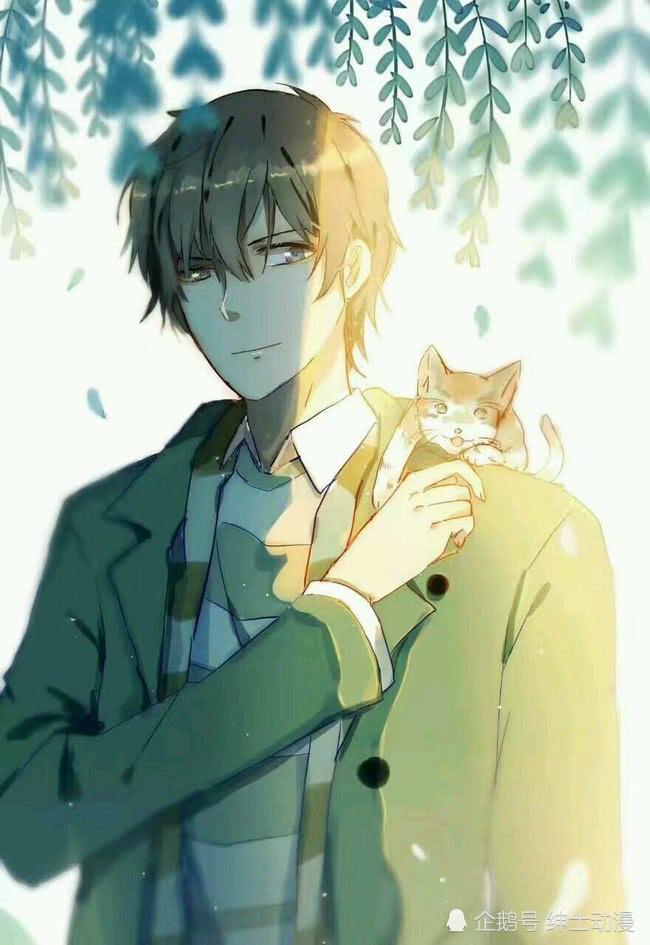 《全职高手》王杰希的十大秘密,第七个看了直接傻眼!