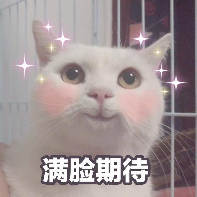 搞笑图片:别爱我,没结果