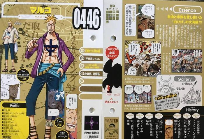 海贼王:不死鸟果实有严重的缺陷,七岁的马尔科已经长大成人!