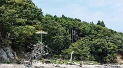 传说中诗人都无法形容的美——日本三景之一,松岛