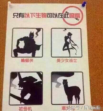 薛之谦亲自打造的火锅店 网友:可以这很薛之谦!