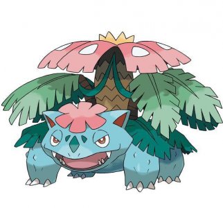 宠物小精灵MEGA进化高清大图合集(上)