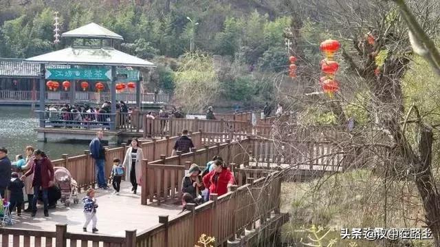 汉中西乡樱桃花已开,这个周末可以去逛逛了!!