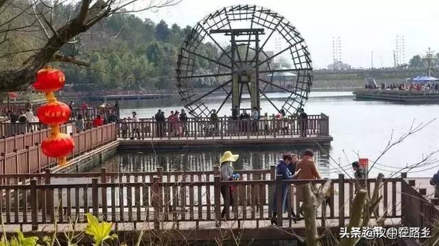 汉中西乡樱桃花已开,这个周末可以去逛逛了!!