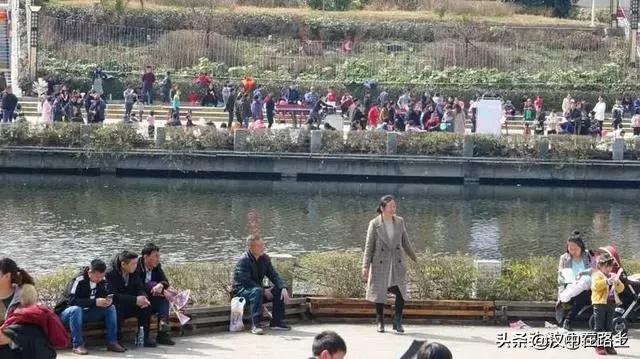 汉中西乡樱桃花已开,这个周末可以去逛逛了!!