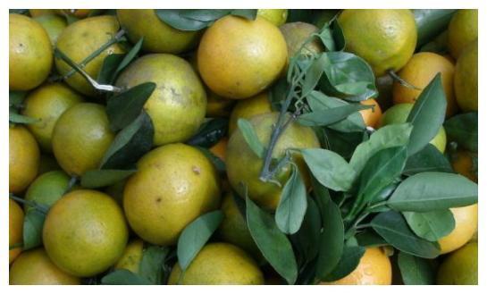 桔子和柑子傻傻分不清?别担心,牢记这4点,轻松辨别出来