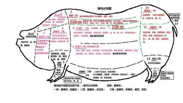 猪肉各部位图解,适宜吃法,热量多少,厨师长普及用肉知识