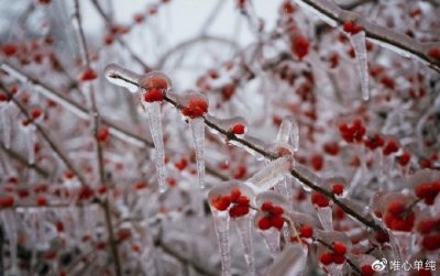 人老了,靠儿女养老靠谱,还是靠金钱养老更靠谱?