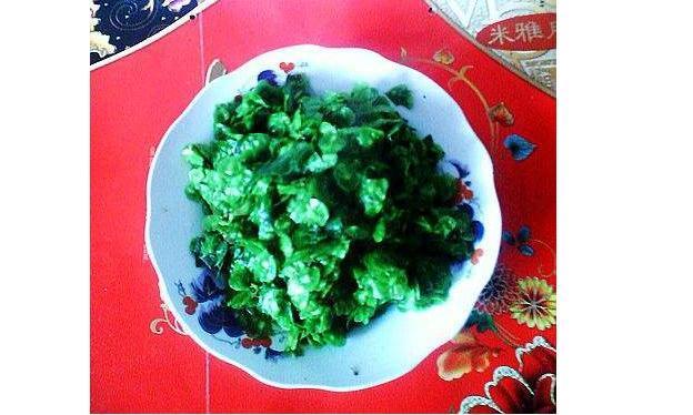 榆树花开又到吃榆钱的时候了,这7种吃法男女老少都爱不释口