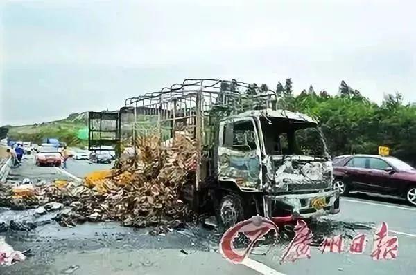 欲哭无泪!货车着火生蚝被烤熟 记者报道完发现是自家货