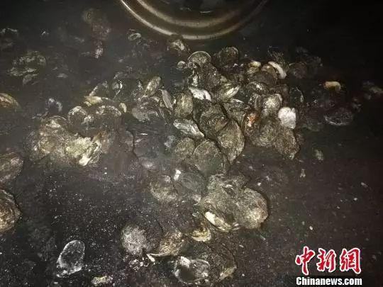 欲哭无泪!货车着火生蚝被烤熟 记者报道完发现是自家货