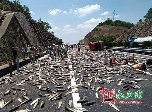 欲哭无泪!货车着火生蚝被烤熟 记者报道完发现是自家货