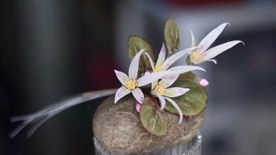 “一正辟三邪,人正辟百邪”:一身正气的人,有三种气度,错不了