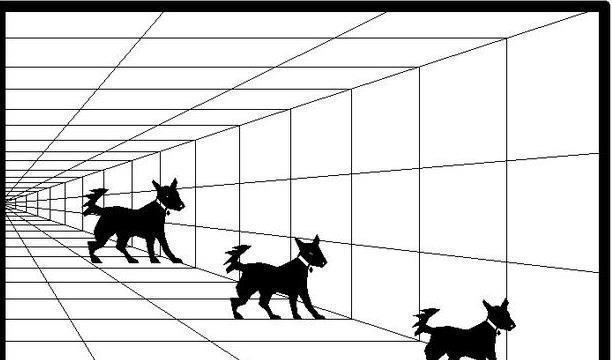 这7张图,30秒能找出答案的眼力太好了!你的智商能答对几道?