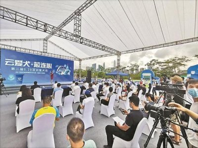 我市全面启动犬只芯片植入工作 年底前实现系统登记犬只100%注射芯片