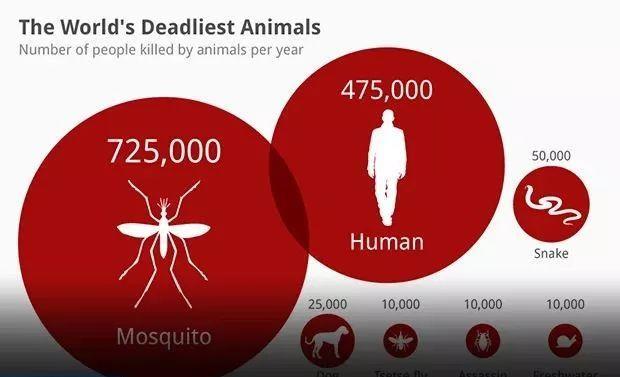 如果全世界的蚊子消失了会怎样?