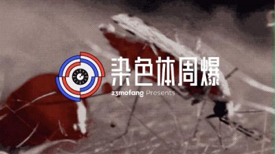 如果全世界的蚊子消失了会怎样?