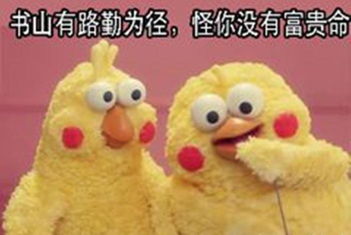 正常人有多少颗牙齿?传说32颗牙齿是富贵命,是真的吗?