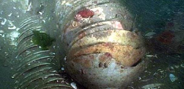 韩国渔民曾捞出中国“海底墓”,文物价值几十亿,还给中国了吗?