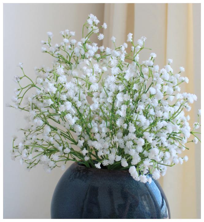 盆栽满天星种植、养护大全!喜欢满天星的朋友看过来