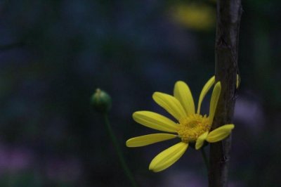 朱允炆的下落之谜!,你绝对不知道的秘密