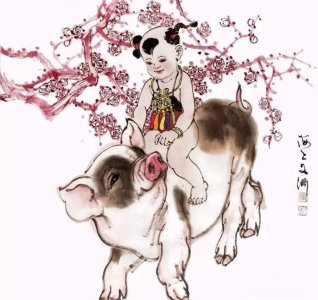 属猪的三大坎 !几月份的是苦命?