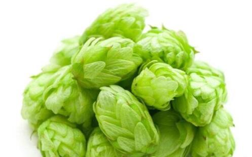 世界上十种最苦的东西排名，第一名世界吉尼斯已认证