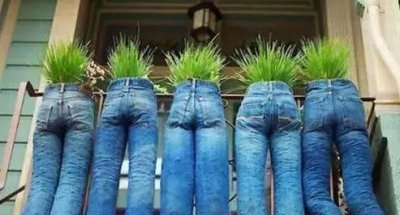 姑娘问老板,是茄子好,还是黄瓜好