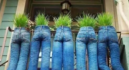 姑娘问老板,是茄子好,还是黄瓜好