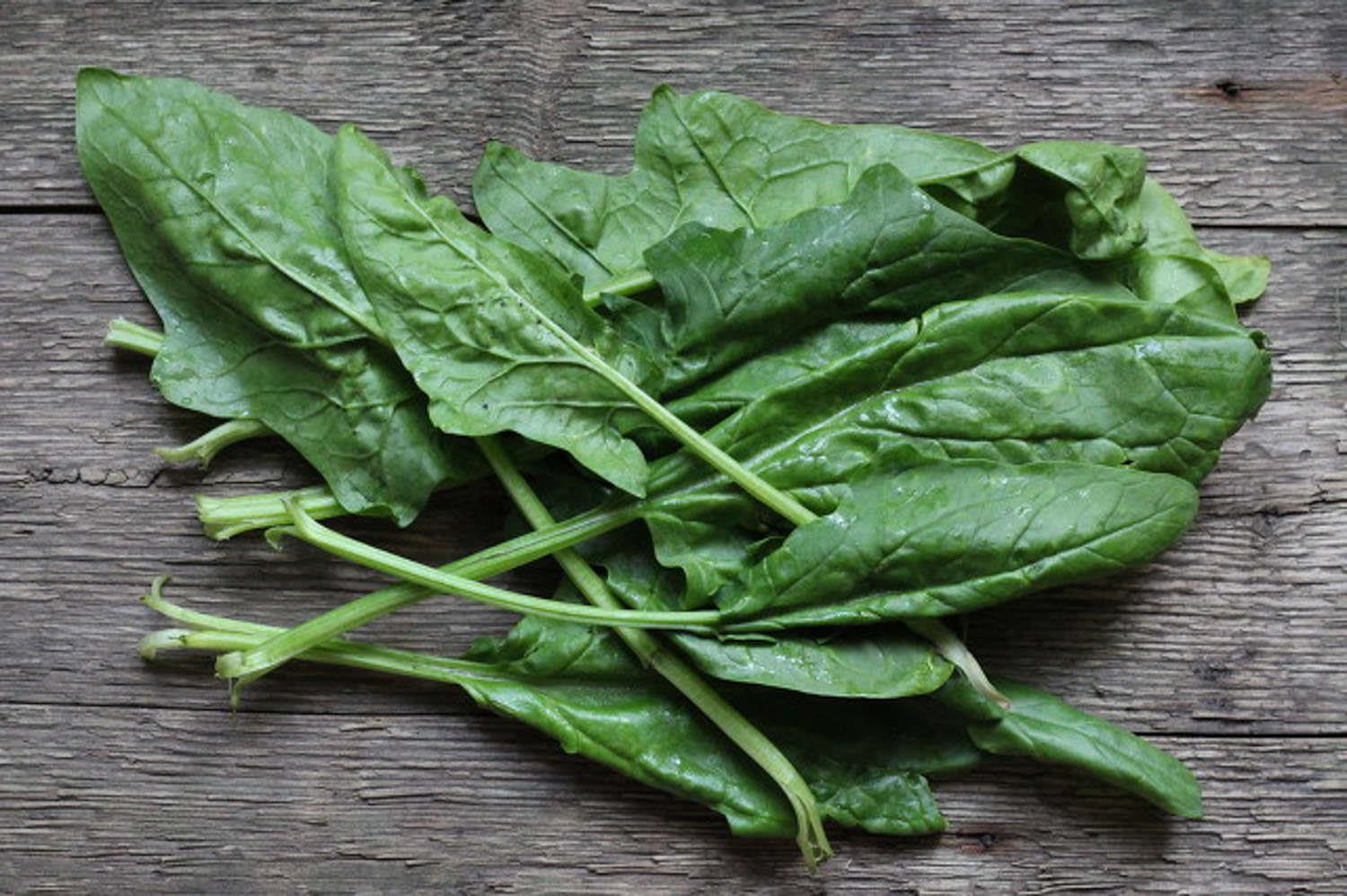 菠菜 菠菜