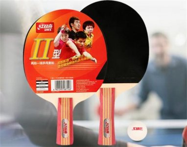 ​乒乓球拍品牌前十名 红双喜第一名 双鱼暂居第二