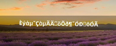 三维弹球的那个震动有什么用(三维弹球原理)