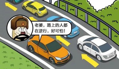 逆行怎么扣分和罚款