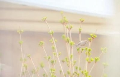 东南亚风格画不一样的东南亚客厅装修风味,东南亚客厅有哪些特点