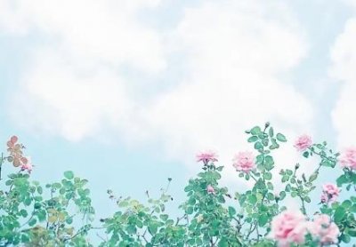 教师专业素养和教师职业素养教师职业素养是