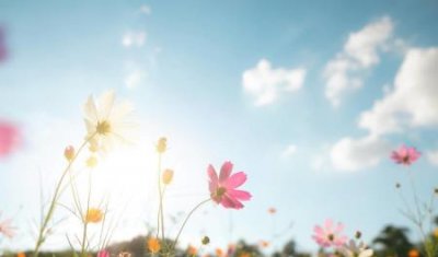 八个症状证明你被辐射怎么办?八个症状证明你被辐射几天能会出现