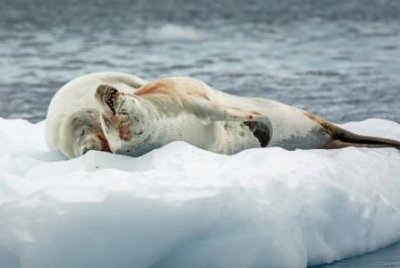 12306订票查询轻松搞定火车票预订